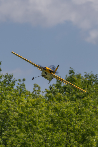 IMG 3844-Enhanced-NR (1)