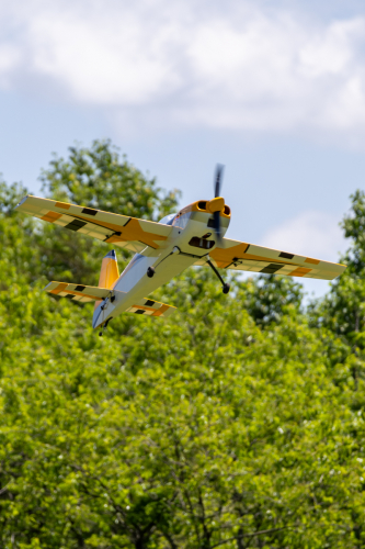 IMG 3847-Enhanced-NR (1)