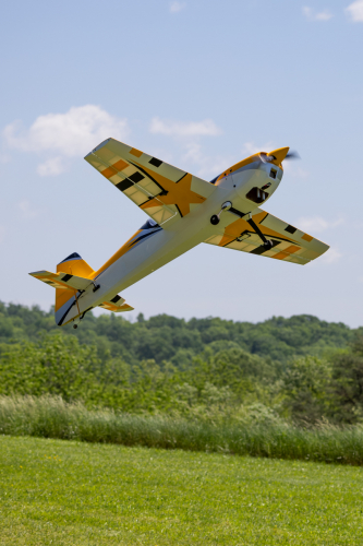 IMG 3895-Enhanced-NR (1)