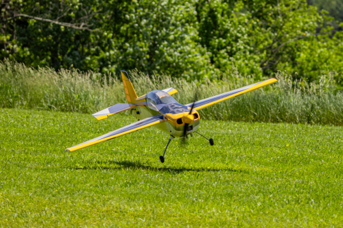 IMG 3939-Enhanced-NR