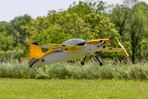 IMG 3946-Enhanced-NR