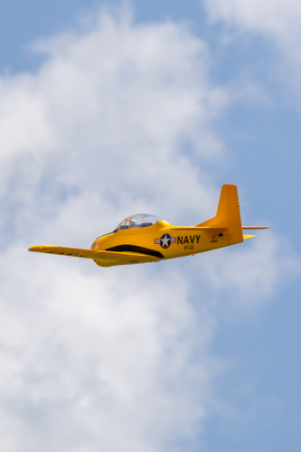 IMG 3986-Enhanced-NR (1)