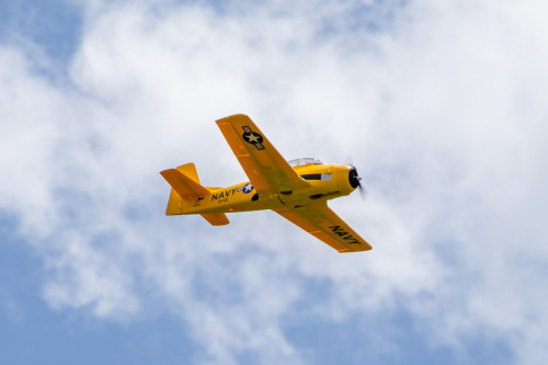 IMG 3993-Enhanced-NR (1)