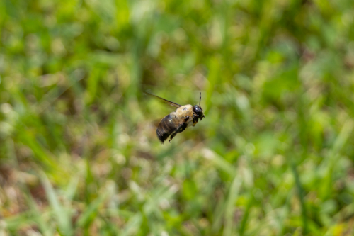 IMG 4051-Enhanced-NR (1)