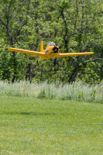 IMG 4073-Enhanced-NR (1)