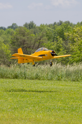 IMG 4074-Enhanced-NR (1)