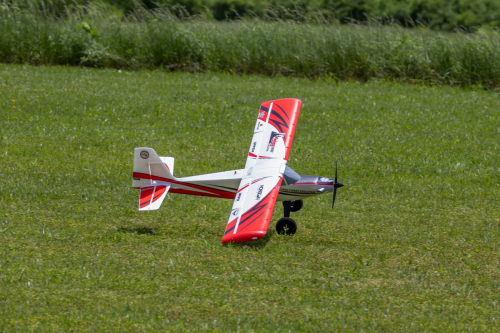 IMG 4170-Enhanced-NR (1)