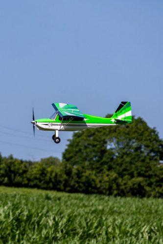 IMG 4201
