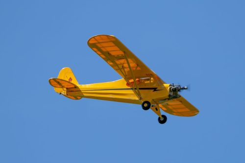 IMG 4385