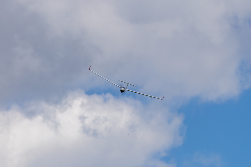 IMG 4461-Enhanced-NR (1)