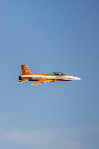 IMG 4479