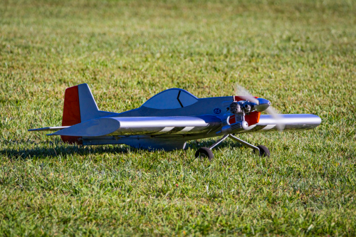 IMG 4482-Enhanced-SR