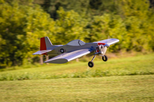 IMG 4547-Enhanced-SR