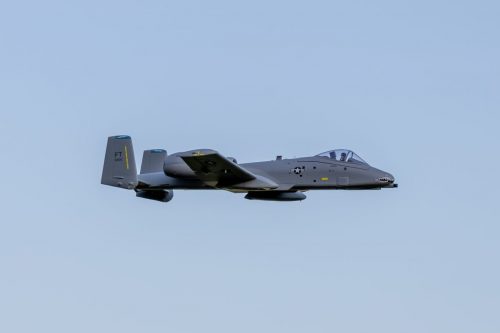 IMG 4600