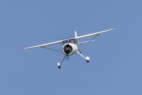 IMG 4619