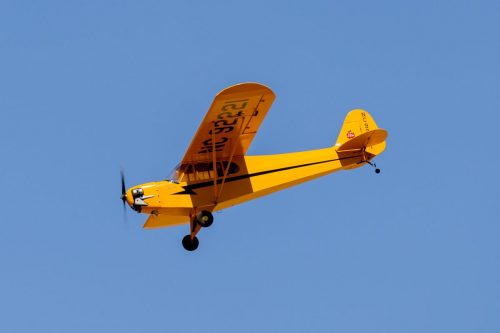 IMG 4656