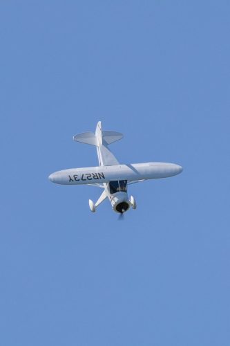 IMG 4657