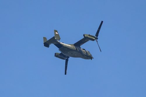 IMG 4739 (1) (1)