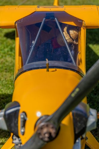 IMG 4792