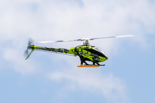 IMG 4950-Enhanced-NR