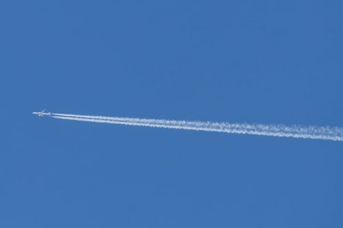 IMG 4950