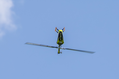 IMG 4979-Enhanced-NR