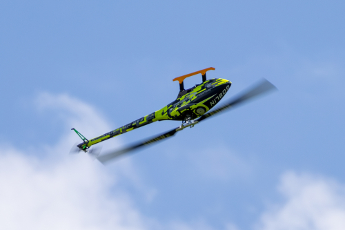 IMG 4986-Enhanced-NR