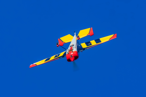 IMG 4989-Enhanced-NR