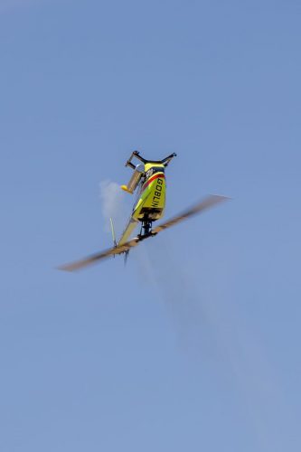 IMG 4991 (1)