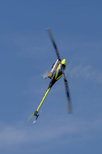 IMG 4999
