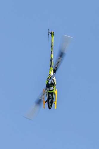 IMG 5083-Enhanced-NR