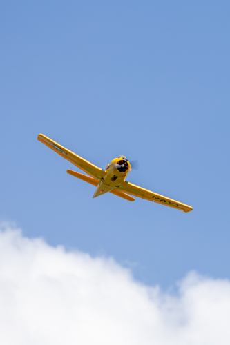 IMG 5215-Enhanced-NR (1)