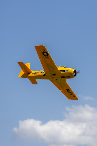 IMG 5228-Enhanced-NR (1)