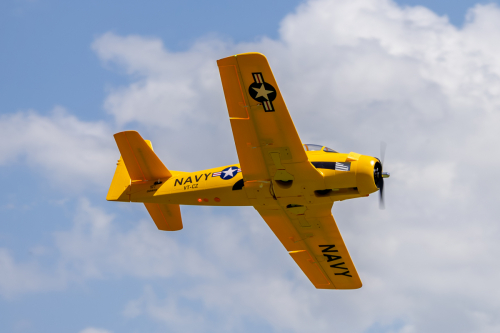 IMG 5229-Enhanced-NR (1)