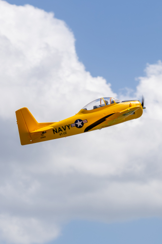 IMG 5232-Enhanced-NR (1)