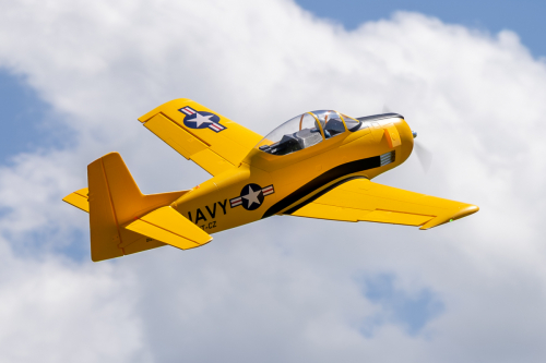 IMG 5233-Enhanced-NR (1)