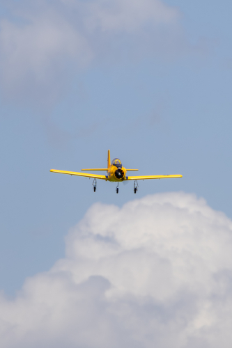 IMG 5301-Enhanced-NR