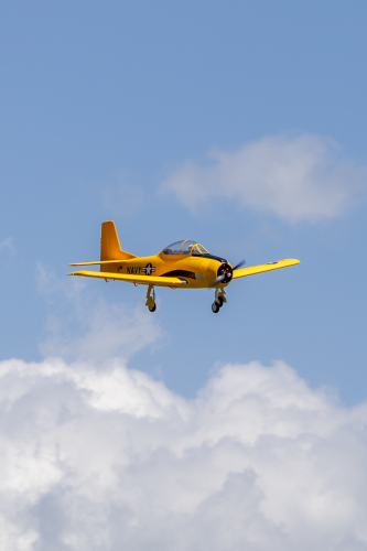 IMG 5310-Enhanced-NR