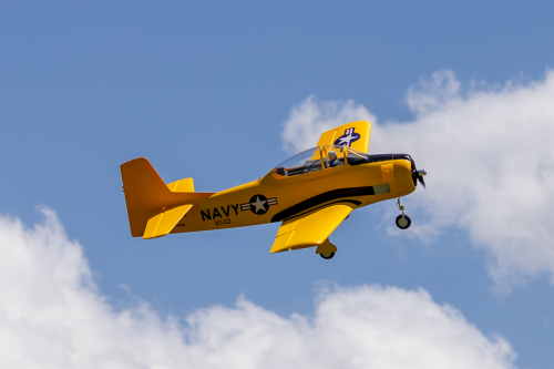 IMG 5323-Enhanced-NR