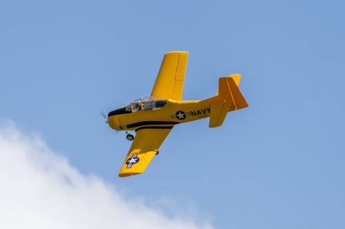 IMG 5355-Enhanced-NR