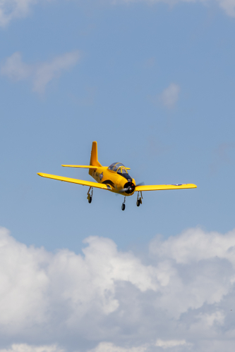 IMG 5398-Enhanced-NR