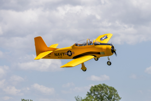 IMG 5406-Enhanced-NR