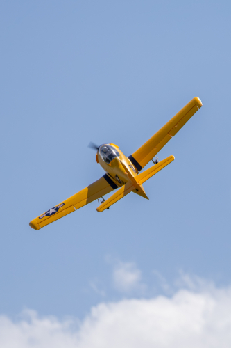 IMG 5429-Enhanced-NR