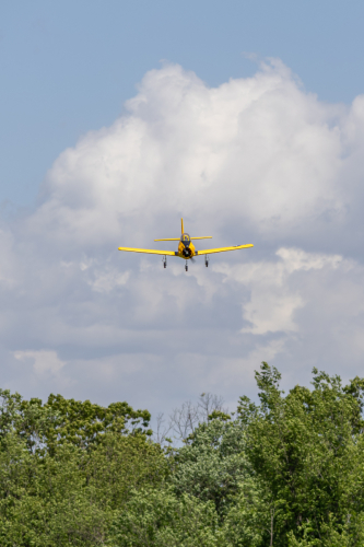 IMG 5451-Enhanced-NR