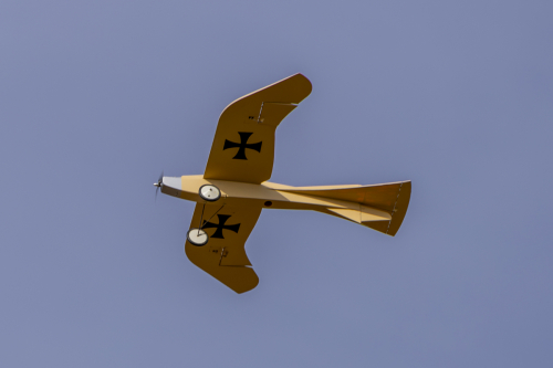 IMG 5466-Enhanced-NR