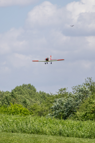 IMG 5502-Enhanced-NR