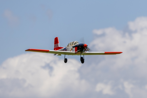 IMG 5506-Enhanced-NR