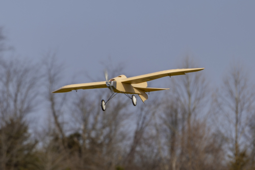 IMG 5510-Enhanced-NR