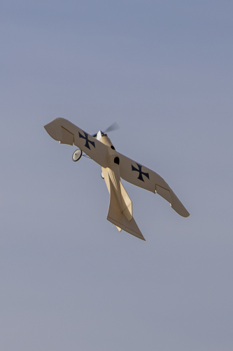 IMG 5526-Enhanced-NR