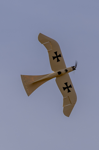 IMG 5533-Enhanced-NR